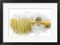 Marshy Wetlands V Fine Art Print