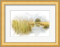 Marshy Wetlands V Fine Art Print