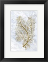 Feathery Sea Fern I Fine Art Print