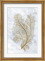 Feathery Sea Fern I Fine Art Print