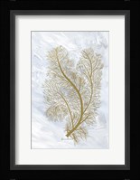 Feathery Sea Fern I Framed Print