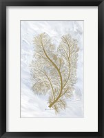 Feathery Sea Fern I Framed Print