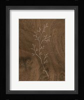 Wispy Wood II Framed Print