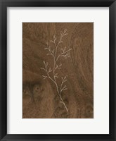 Wispy Wood II Fine Art Print