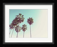 Palms Against The Evening Sky Fine Art Print