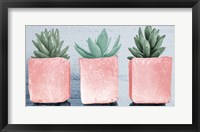 Pink Potted Succulents Fine Art Print