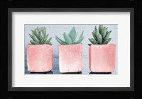 Pink Potted Succulents Fine Art Print
