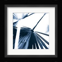 Among Blue Palms II Fine Art Print