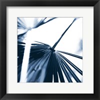Among Blue Palms II Framed Print
