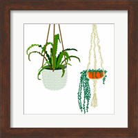 Hanging Plant Duo Fine Art Print