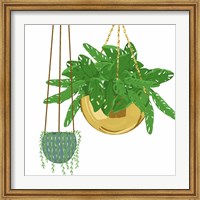 Hanging Plant Set Fine Art Print