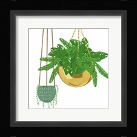 Hanging Plant Set Framed Print