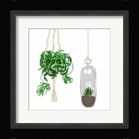 Hanging Plant Set II Framed Print