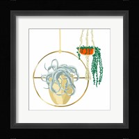 Hanging Plant Set III Framed Print