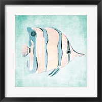 Fish In The Sea II Framed Print