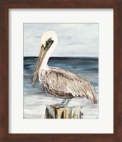Muted Perched Pelican Fine Art Print
