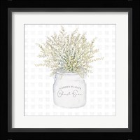 Garden Plants I Framed Print