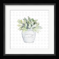 Garden Plants III Framed Print