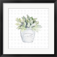 Garden Plants III Framed Print
