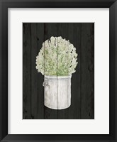 Herbs on Black II Framed Print