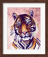 Tiger Face Fine Art Print