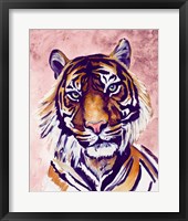 Tiger Face Fine Art Print