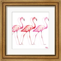 Flamingo Trio I Fine Art Print