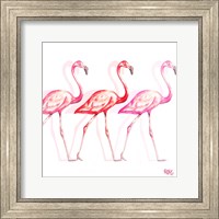 Flamingo Trio I Fine Art Print