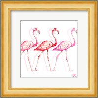 Flamingo Trio I Fine Art Print