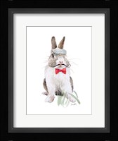 Modern Bunny III Framed Print