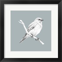 Bird Study on Blue I Framed Print