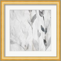 Gray Misty Leaves Square II Fine Art Print