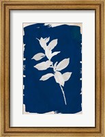 White Leaf on Navy II Fine Art Print