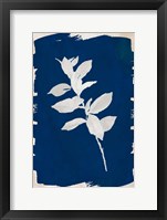 White Leaf on Navy II Fine Art Print