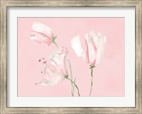 Pink Floral Dreams I Fine Art Print