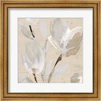 Neutral Tulips II Fine Art Print