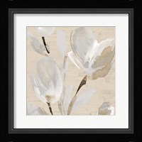 Neutral Tulips II Fine Art Print