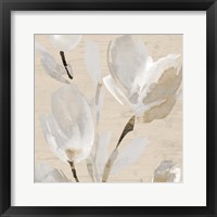 Neutral Tulips II Framed Print