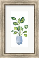 Croton In Blue Pot Fine Art Print
