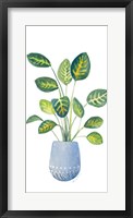 Croton In Blue Pot Fine Art Print