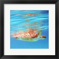 Underwater Depths I Framed Print