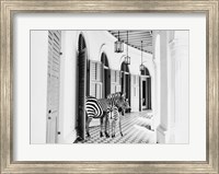 Zebra Hotel Fine Art Print