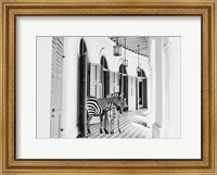 Zebra Hotel Fine Art Print