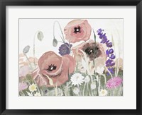 Victory Pink Poppies I Framed Print