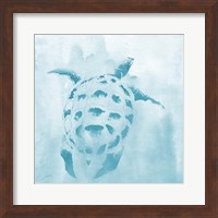 Washed Teal Aquatic Turtle Fine Art Print