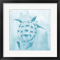 Washed Teal Aquatic Turtle Fine Art Print