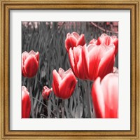 Red Tulips I Fine Art Print