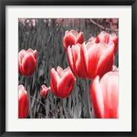 Red Tulips I Fine Art Print