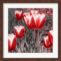 Red Tulips II Fine Art Print