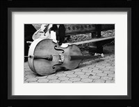Cello Fine Art Print